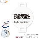 �ͥå����ȥ�å��ѥ�åڥ� ��ǽ�½��� 1��