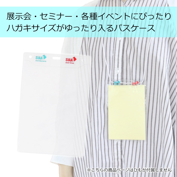 ���ݹ������륹 ���٥����̾�������� ɳ�ʤ� �Ϥ��������� 10��