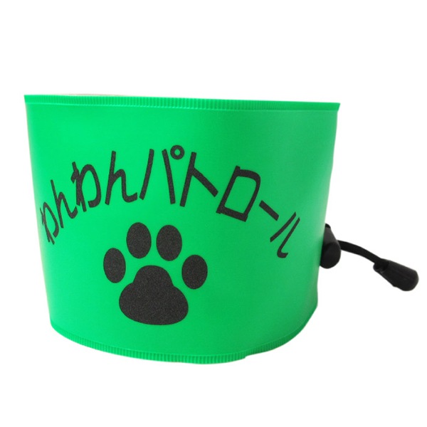 �����ѥȥ������Ӿ�