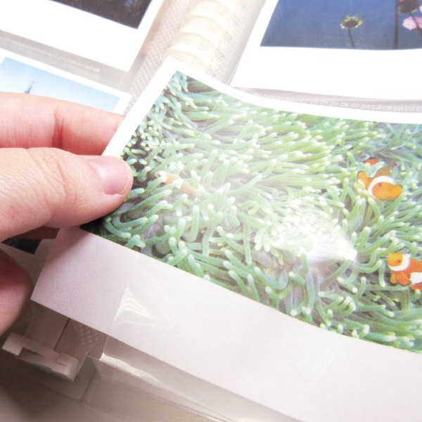 ��B6/2P/�򴹥꡼�ա�B6 �򴹥꡼�� ��󥰥Х�������ե����� Ʃ��2�ݥ��å�18�� 10������