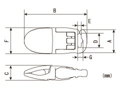 �ե��å��奯��åס��եå������ס�A���եۥ磻�ȡ�������F-1 1,000������