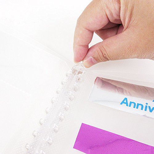 ��B5/6P/�ե������B5 ��ơ��� ��󥰥Х������6�ݥ��åȥե����� Ʃ��6�ݥ��å�26��꡼��5����°