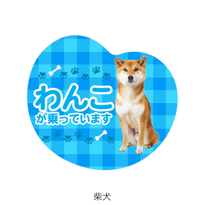 ��ξ�ѥޥ��ͥå� ��󤳤���äƤ��ޤ��ø� �ɥå� �ڥå� �̿� �¼� �İ��� ���ƥå��� ���� �����å� �ˤλ� ���λ�