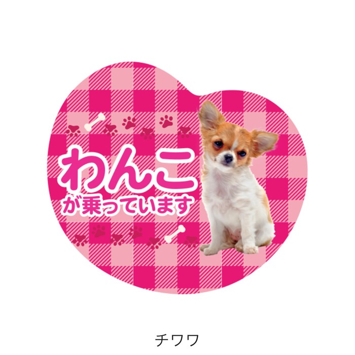 ��ξ�ѥޥ��ͥå� ��󤳤���äƤ��ޤ��ø� �ɥå� �ڥå� �̿� �¼� �İ��� ���ƥå��� ���� �����å� �ˤλ� ���λ�