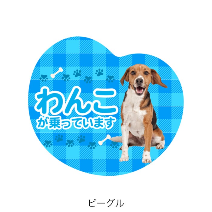 ��ξ�ѥޥ��ͥå� ��󤳤���äƤ��ޤ��ø� �ɥå� �ڥå� �̿� �¼� �İ��� ���ƥå��� ���� �����å� �ˤλ� ���λ�