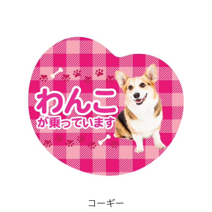 ��ξ�ѥޥ��ͥå� ��󤳤���äƤ��ޤ��ø� �ɥå� �ڥå� �̿� �¼� �İ��� ���ƥå��� ���� �����å� �ˤλ� ���λ�