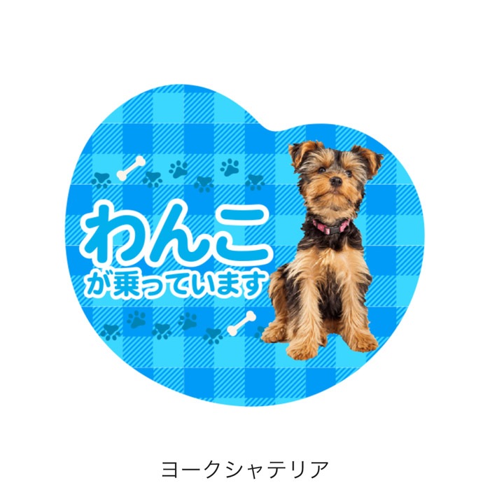 ��ξ�ѥޥ��ͥå� ��󤳤���äƤ��ޤ��ø� �ɥå� �ڥå� �̿� �¼� �İ��� ���ƥå��� ���� �����å� �ˤλ� ���λ�