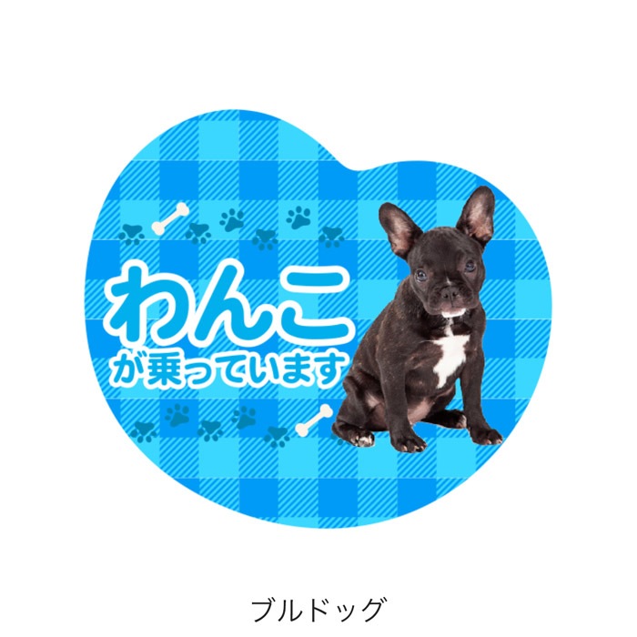 ��ξ�ѥޥ��ͥå� ��󤳤���äƤ��ޤ��ø� �ɥå� �ڥå� �̿� �¼� �İ��� ���ƥå��� ���� �����å� �ˤλ� ���λ�