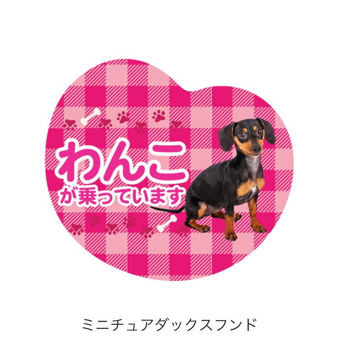 ��ξ�ѥޥ��ͥå� ��󤳤���äƤ��ޤ��ø� �ɥå� �ڥå� �̿� �¼� �İ��� ���ƥå��� ���� �����å� �ˤλ� ���λ�