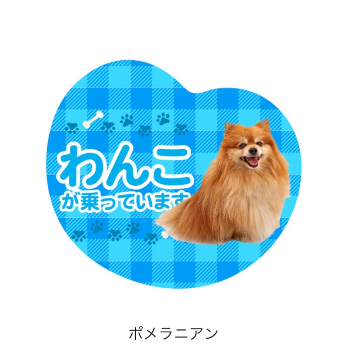 ��ξ�ѥޥ��ͥå� ��󤳤���äƤ��ޤ��ø� �ɥå� �ڥå� �̿� �¼� �İ��� ���ƥå��� ���� �����å� �ˤλ� ���λ�