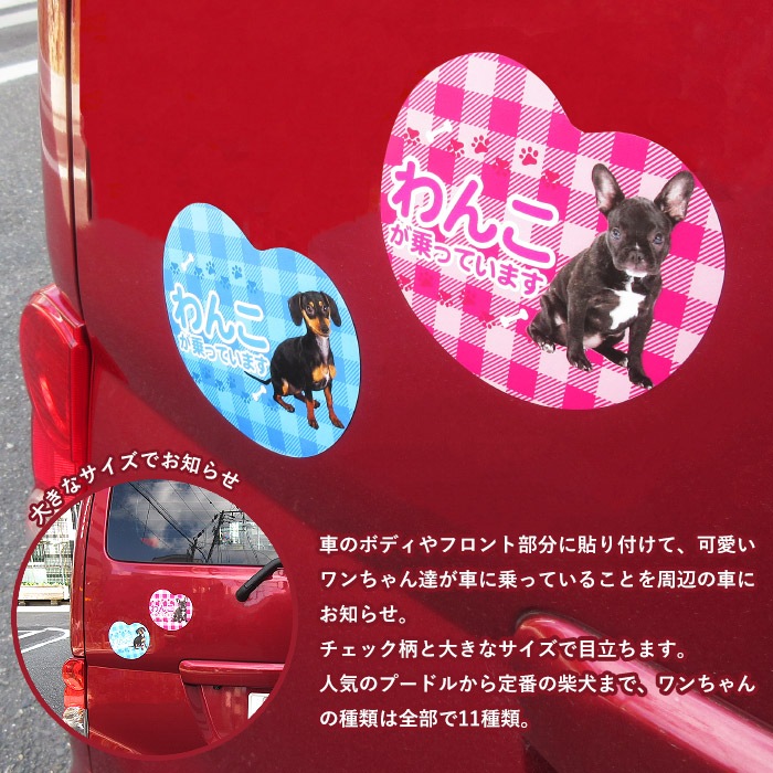 ��ξ�ѥޥ��ͥå� ��󤳤���äƤ��ޤ��ø� �ɥå� �ڥå� �̿� �¼� �İ��� ���ƥå��� ���� �����å� �ˤλ� ���λ�