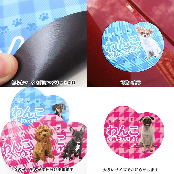 ��ξ�ѥޥ��ͥå� ��󤳤���äƤ��ޤ��ø� �ɥå� �ڥå� �̿� �¼� �İ��� ���ƥå��� ���� �����å� �ˤλ� ���λ�