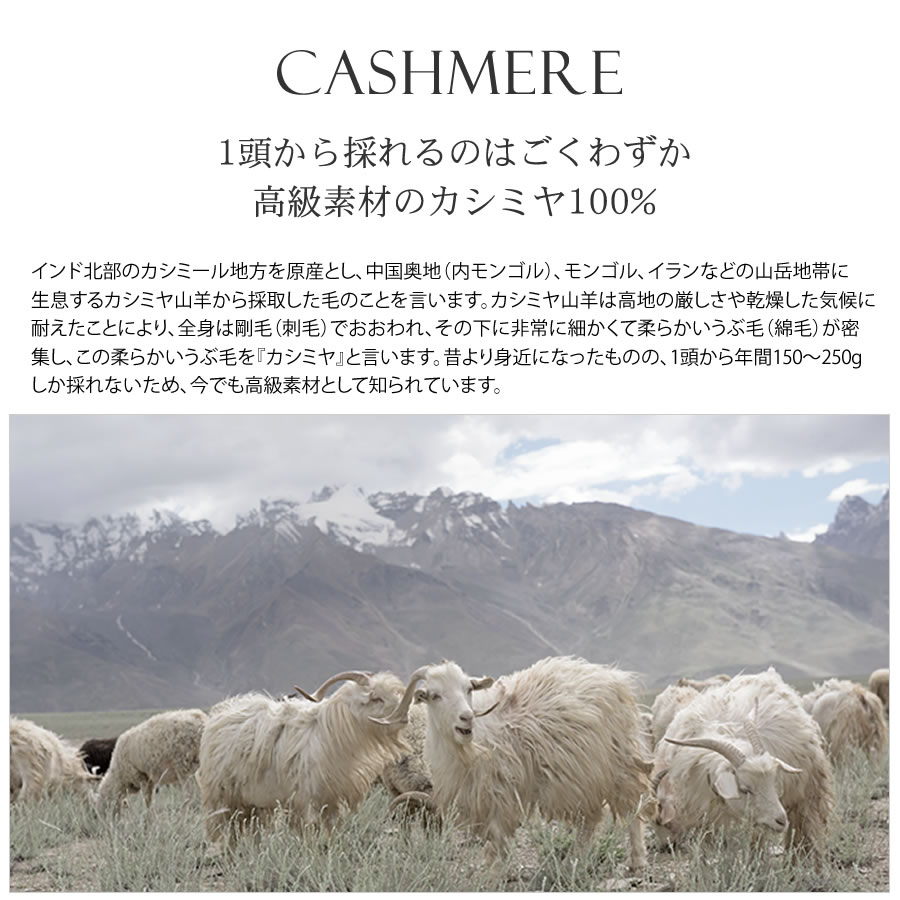 【公式限定名入れ刺繍無料】カシミヤ100％ ストール 大判 チェック 柄ストール【200cm×60cm】カシミア チェックストール  秋冬 厚手 マフラー クリスマス ギフト