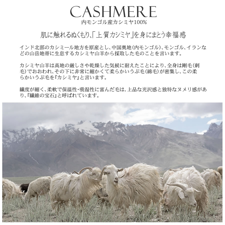 【公式限定名入れ刺繍無料】カシミヤ 100％ ストール 大判 チェック柄ストール 敬老の日【名入れ刺繍】【200cm×60cm】カシミヤストール カシミアストール チェック柄 チェックストール 秋冬 厚手 マフラー メンズマフラー ギフト クリスマス(cs1066m)