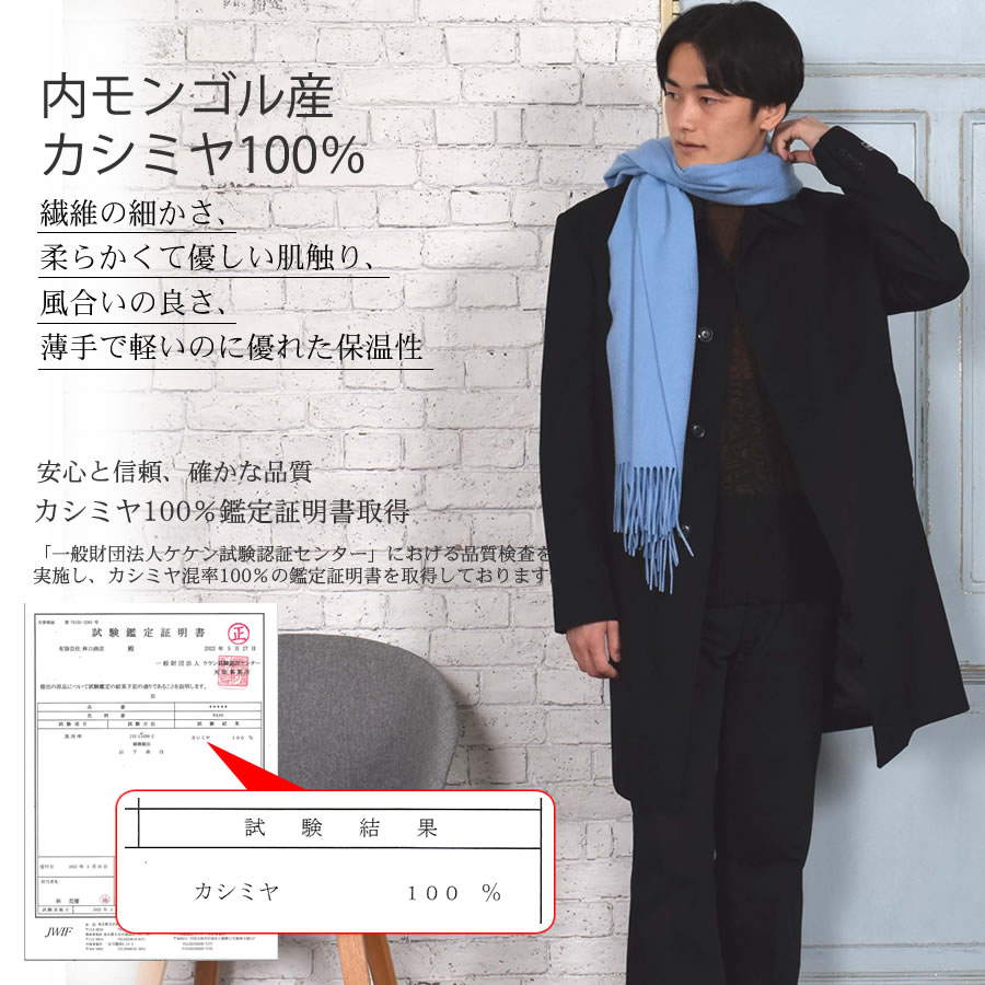 【公式限定名入れ刺繍無料】カシミヤストール カシミヤ 100％ ストール 名入れ 刺繍 メンズ  カシミア 大判 ストール 無地 単色 女性 秋冬 厚手 マフラー メンズマフラー  プレゼント ギフト 大判ストール(有料イニシャル刺繍)(cs0077m)