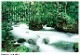 Taoist Sayings ˭30θ ϷҡҡŷԤθդ