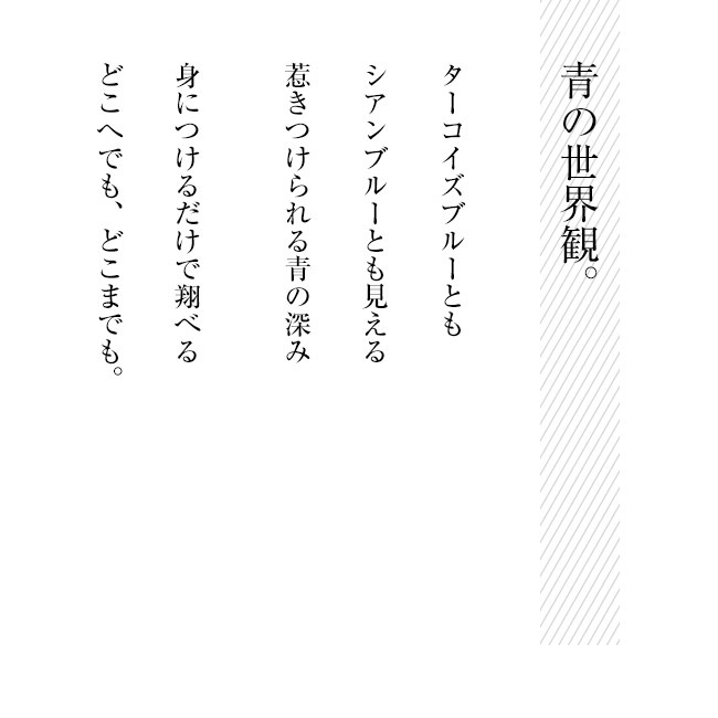 ˡӥ塼ƥ   塡åץ֥顡ChasneyBeauty    ֥饸㡼  3/4åץ֥ ѥå