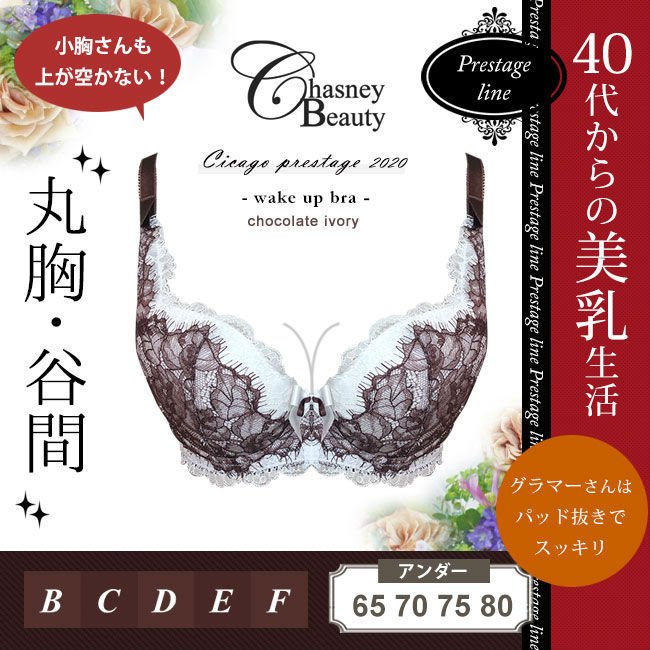 �֥饸�㡼 ���� �������ˡ��ӥ塼�ƥ��� �������ץ쥹�ơ��� �����������åץ֥� ���祳�졼�ȥ����ܥ꡼ 3/4���å� ���å���¦ ��100% ����ݡ��� �����֥�  50��