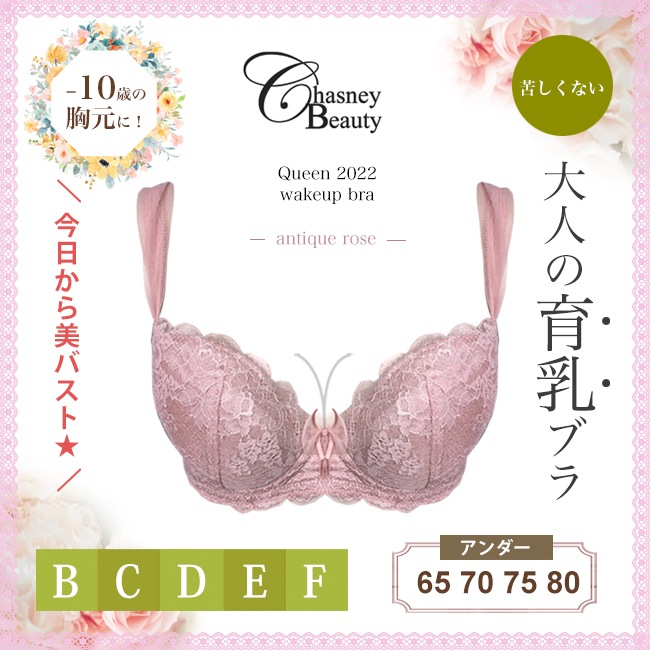 ChasneyBeauty ˡӥ塼ƥ  åץ֥ ƥ    ֥饸㡼 3/4åץ֥ ѥå