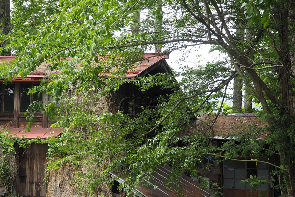 安土忠久|小鉢片口