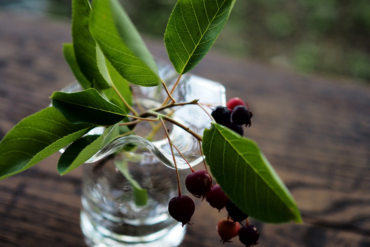 安土天平|いちりんざし