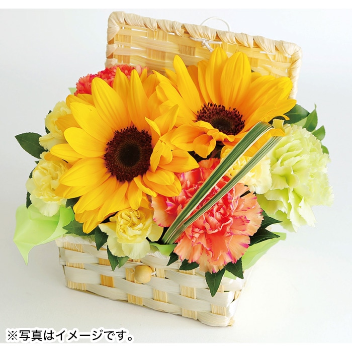 【夏ギフト】ひまわりバスケット