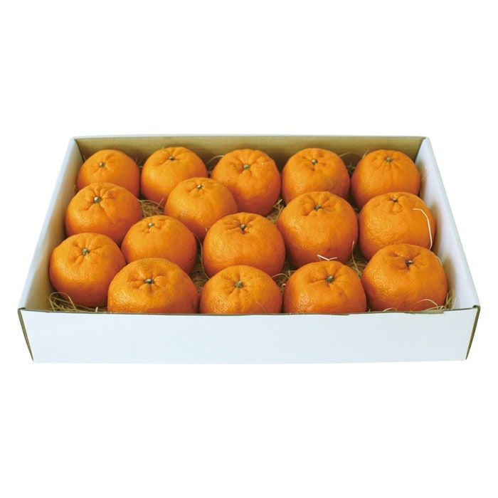 【冬ギフト】ポンカン