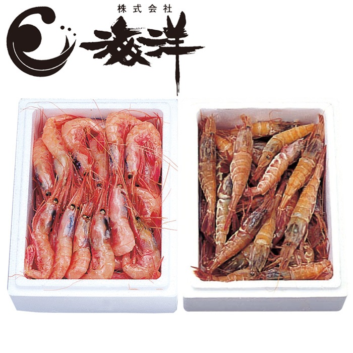 【冬ギフト】日本海産船凍甘えび(中)・とらえびセット