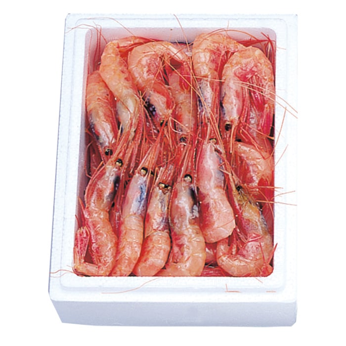 【冬ギフト】日本海産船凍甘えび(中) 500g