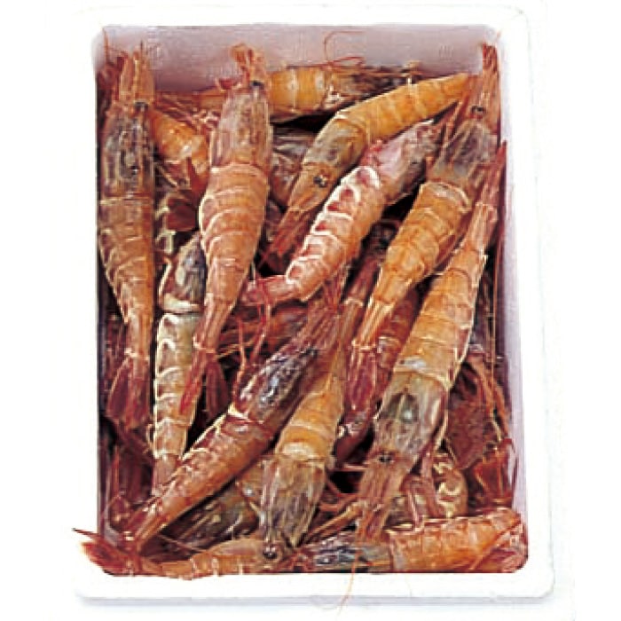 【冬ギフト】日本海産船凍とらえび 500g