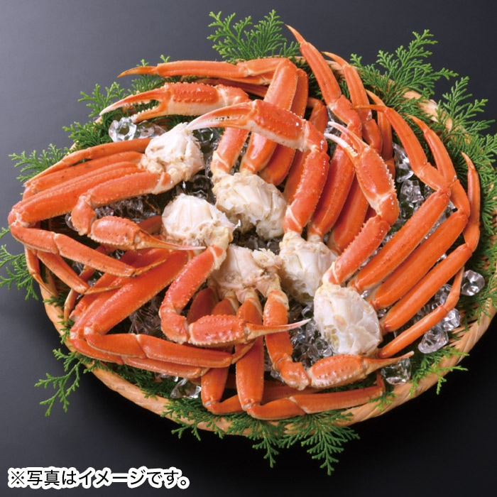 【冬ギフト】ボイル ズワイガニ