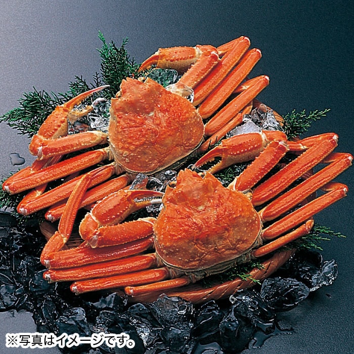 【冬ギフト】ゆで姿ズワイガニ 2ハイ