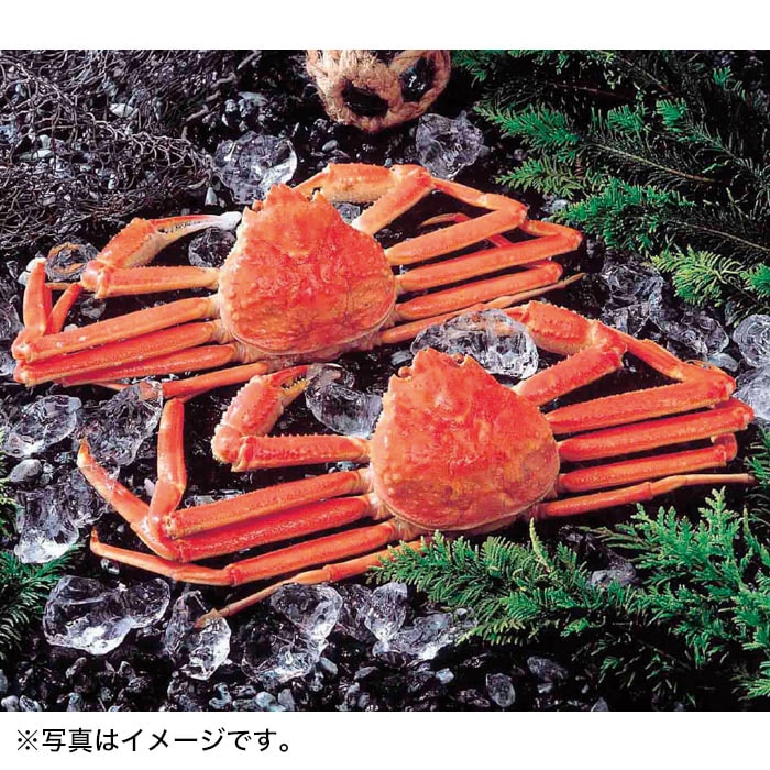 【冬ギフト】ボイルずわいがに姿 400g×2