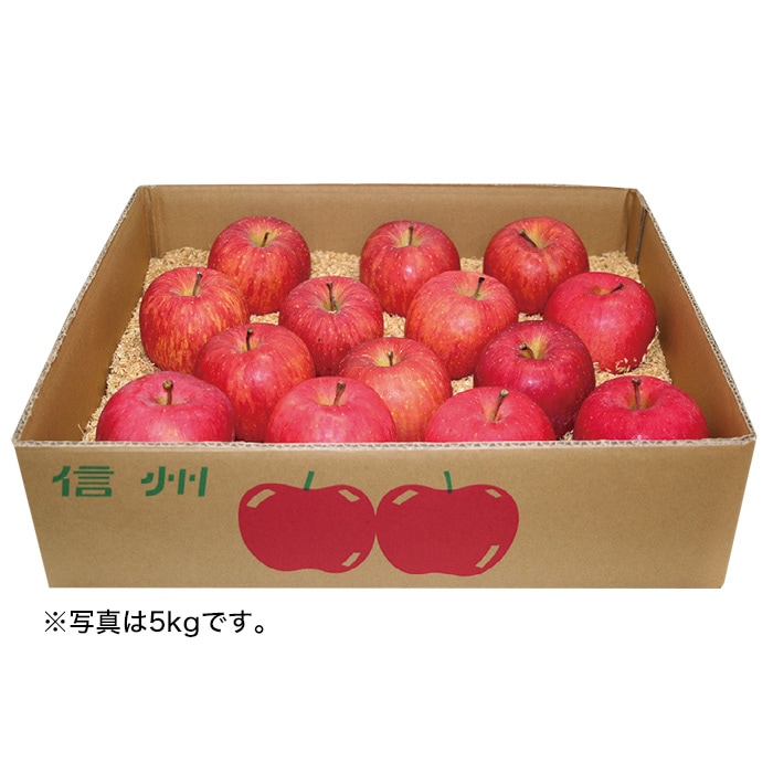 【冬ギフト】信州産ふじりんご 8kg