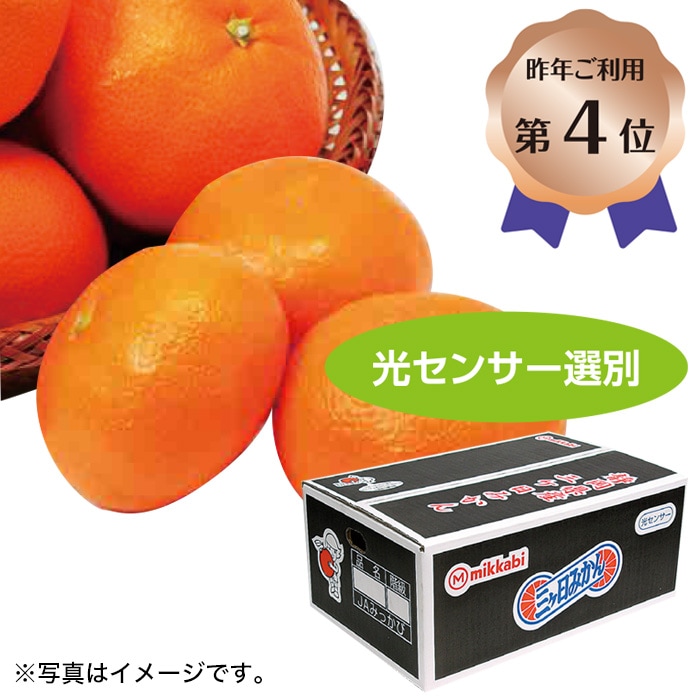 【冬ギフト】三ケ日みかんM-2Lサイズ・2.7kg