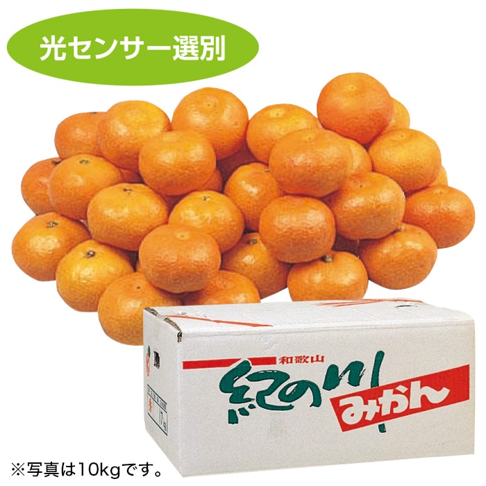 【冬ギフト】紀ノ川みかん 5kg
