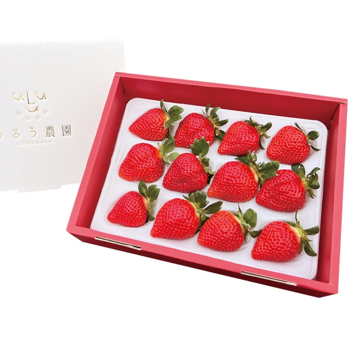 【冬ギフト】特選あまおう400g