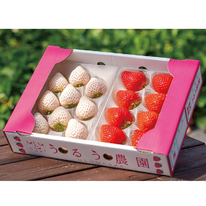 【冬ギフト】あまおう×白イチゴの紅白セット