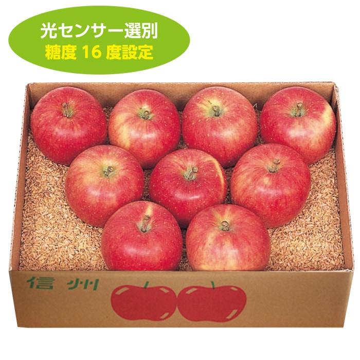 【冬ギフト】サン甘ふじ（糖度16度）2.7kg