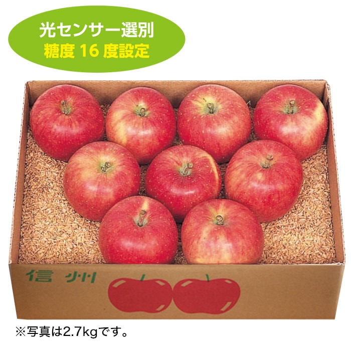 【冬ギフト】サン甘ふじ（糖度16度）大玉4.5kg