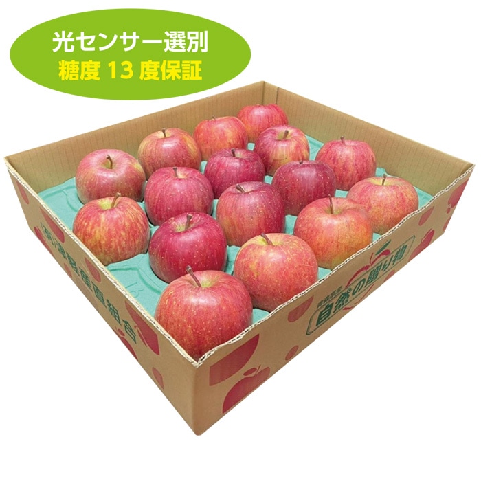 【冬ギフト】津軽産ふじりんご