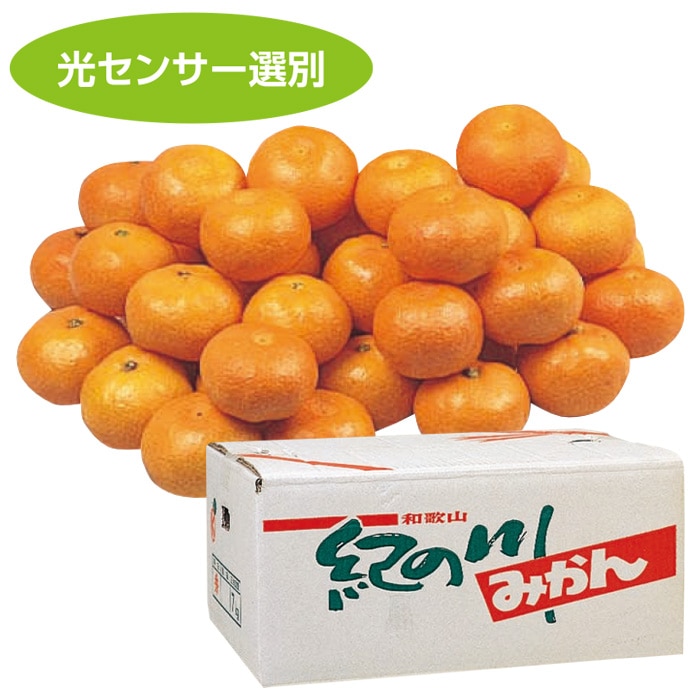 【冬ギフト】紀ノ川みかん 10kg