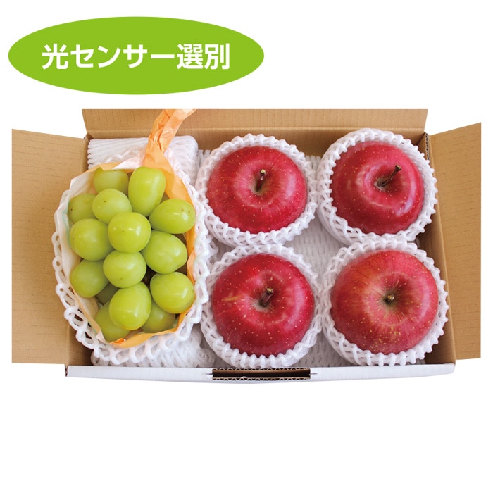 【冬ギフト】シャインマスカット＆蜜入りサンふじ