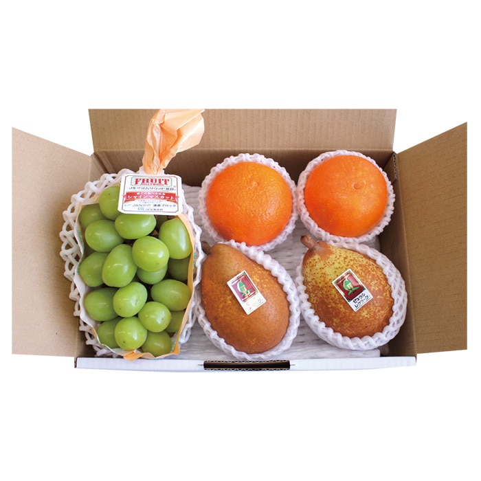 【冬ギフト】冬のフルーツセット