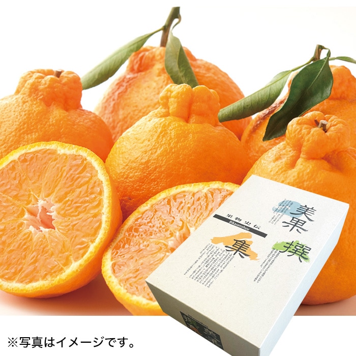 【冬ギフト】デコポン