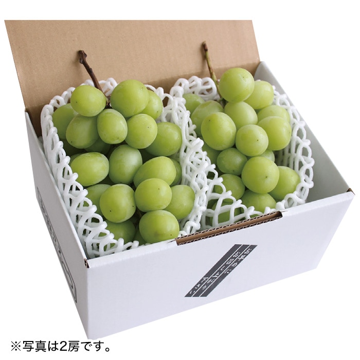 【冬ギフト】貯蔵シャインマスカット 1房