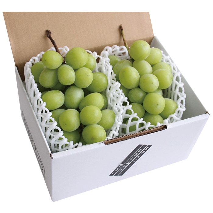 【冬ギフト】貯蔵シャインマスカット 2房