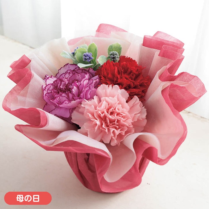 【母の日】アレンジメント「ふわふわアレンジ」