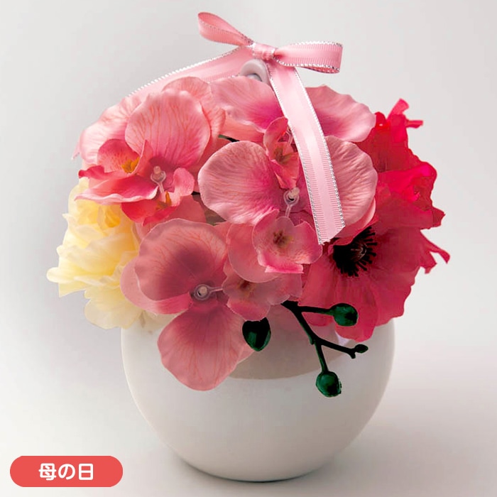 【母の日】フレグランス胡蝶蘭（ピンク）
