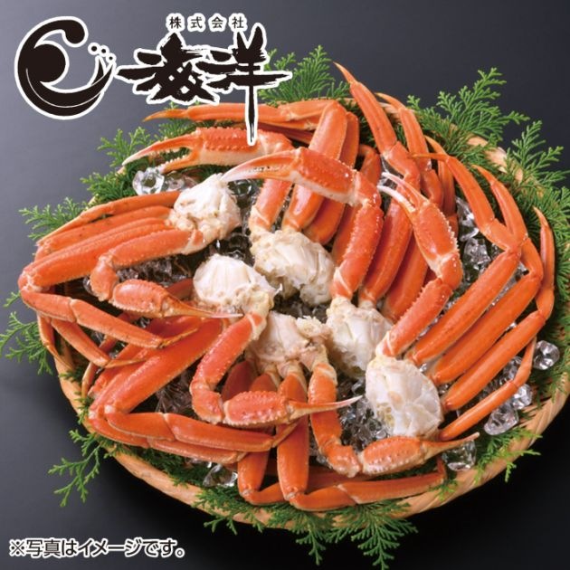 【夏ギフト】ボイル ズワイガニ